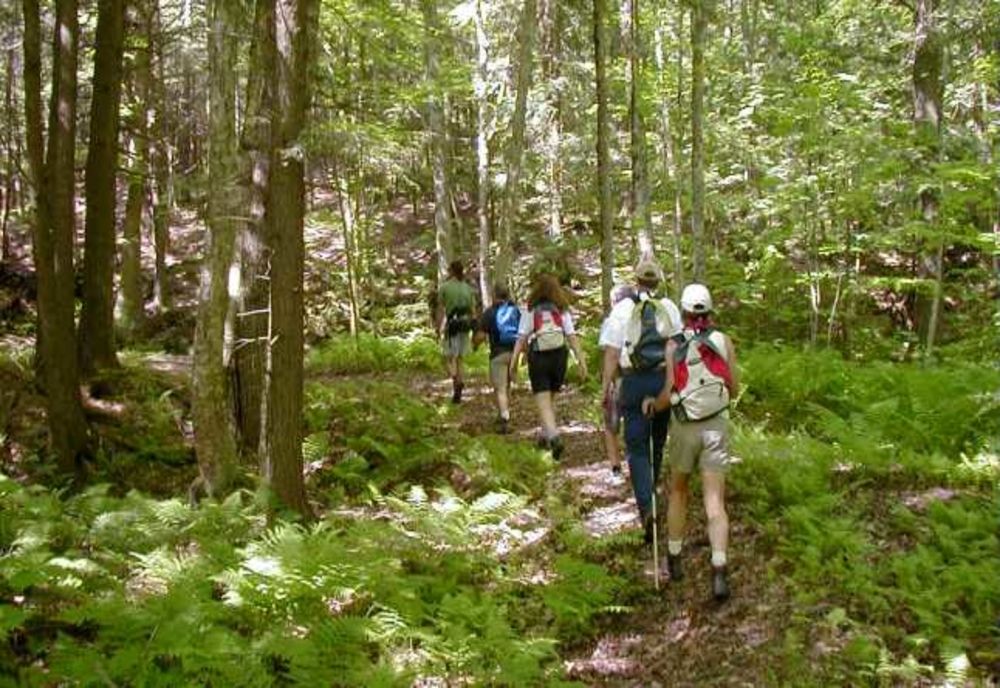 Aplicație pentru relansarea turismului