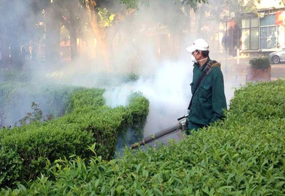 După valul de nemulțumiri din cauza invaziei țânțarilor, se reia dezinsecția la Timișoara