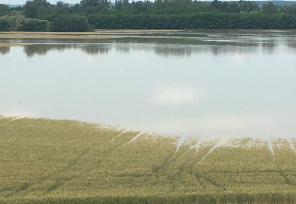 Situație gravă, în Timiș. Pagube serioase în agricultură, produse de fenomene meteo extreme