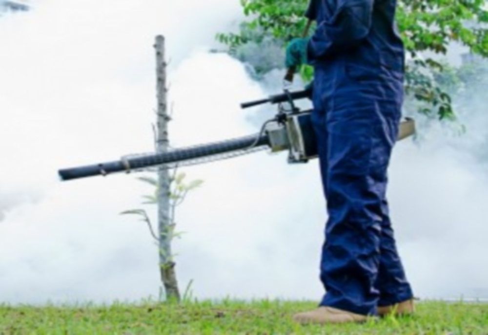 Se reia dezinsecția la Timișoara 