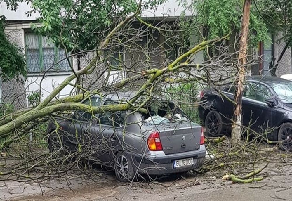 Furtuna în județul Timiș! Pompierii chemați să intervină