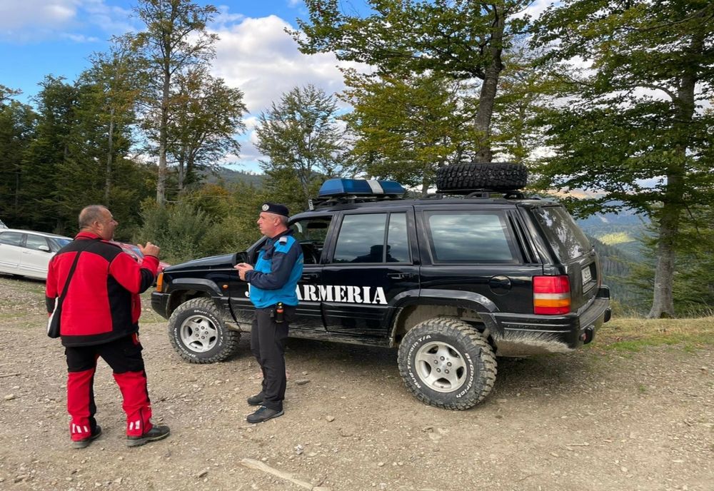 Rătăcite la cules de ciuperci