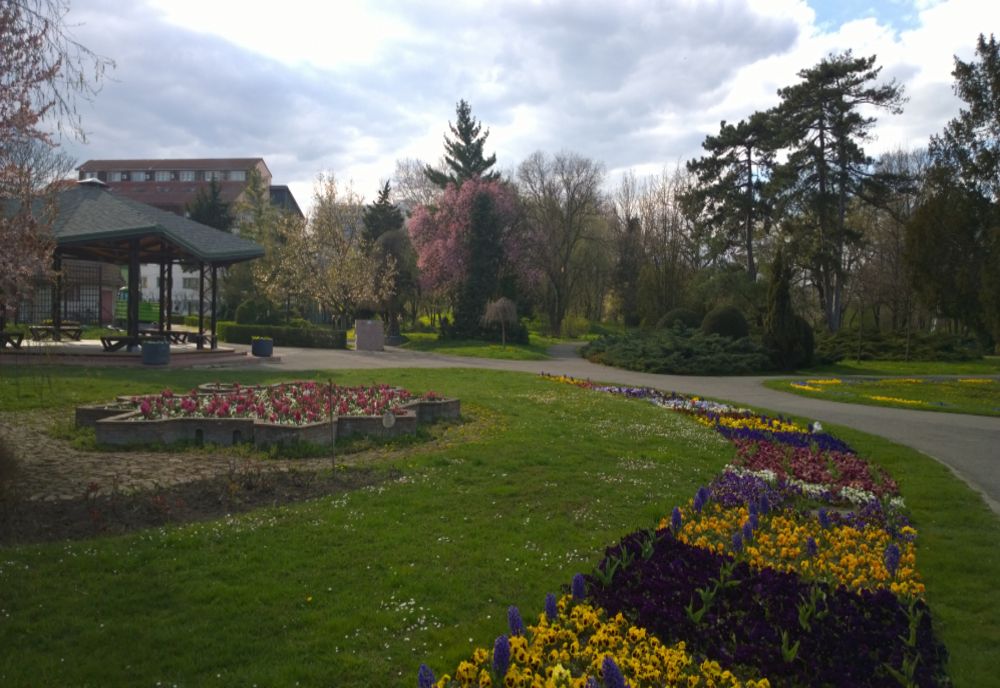Parcul Botanic din Timișoara rămâne închis 