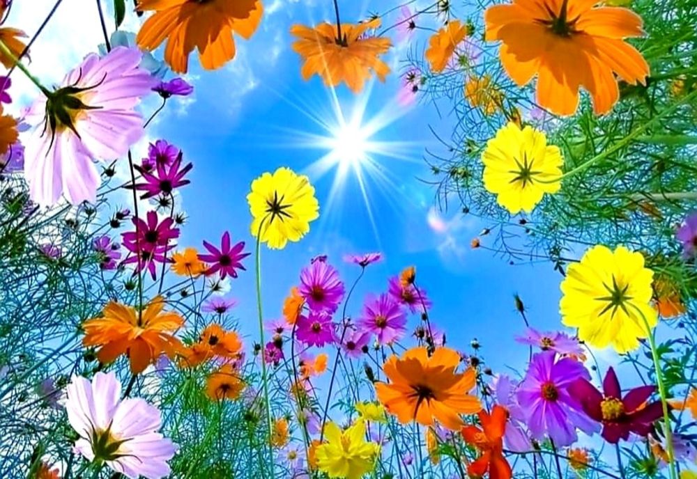 România a scăpat de episodul neobișnuit de viscol! - Vestea bună care vine din partea meteorologilor