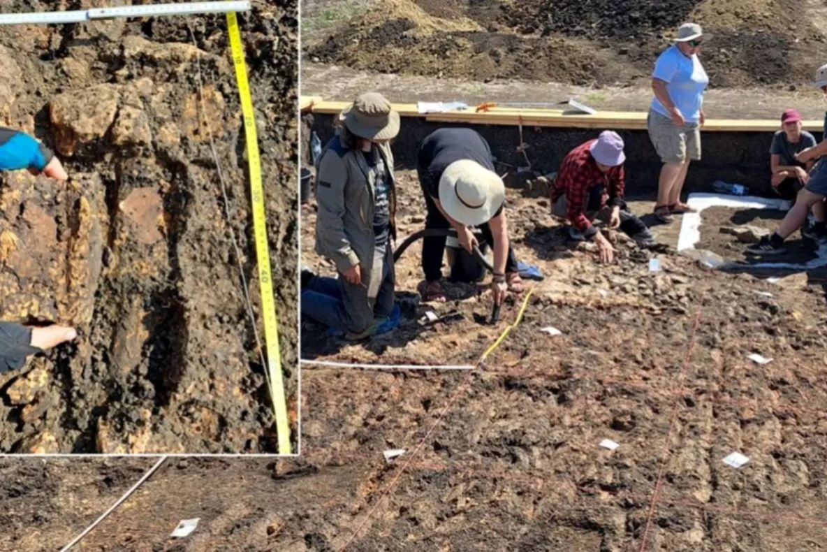 Descoperire arheologică uriașă. Cum se trăia în România acum 6.000 de ani: fără lideri, fără elite, sistem social egalitar