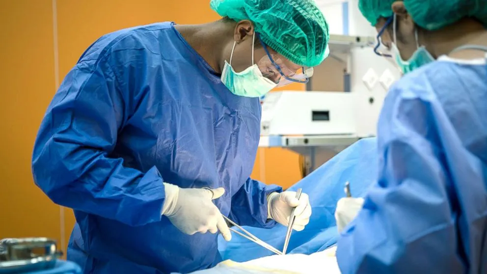 transplant organe