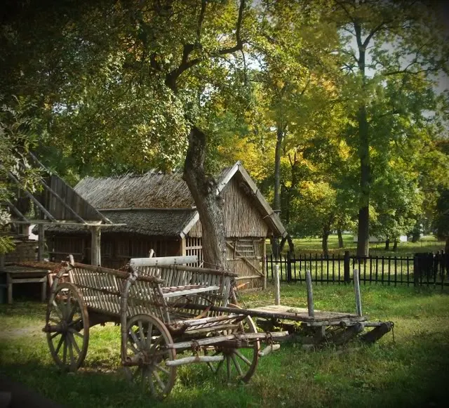 muzeul satului
