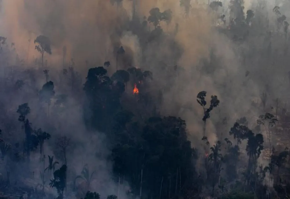  Cifra dezastrului din cea mai mare pădure tropicală din lume: 10.000 de km pătraţi, defrişaţi într-un singur an 
