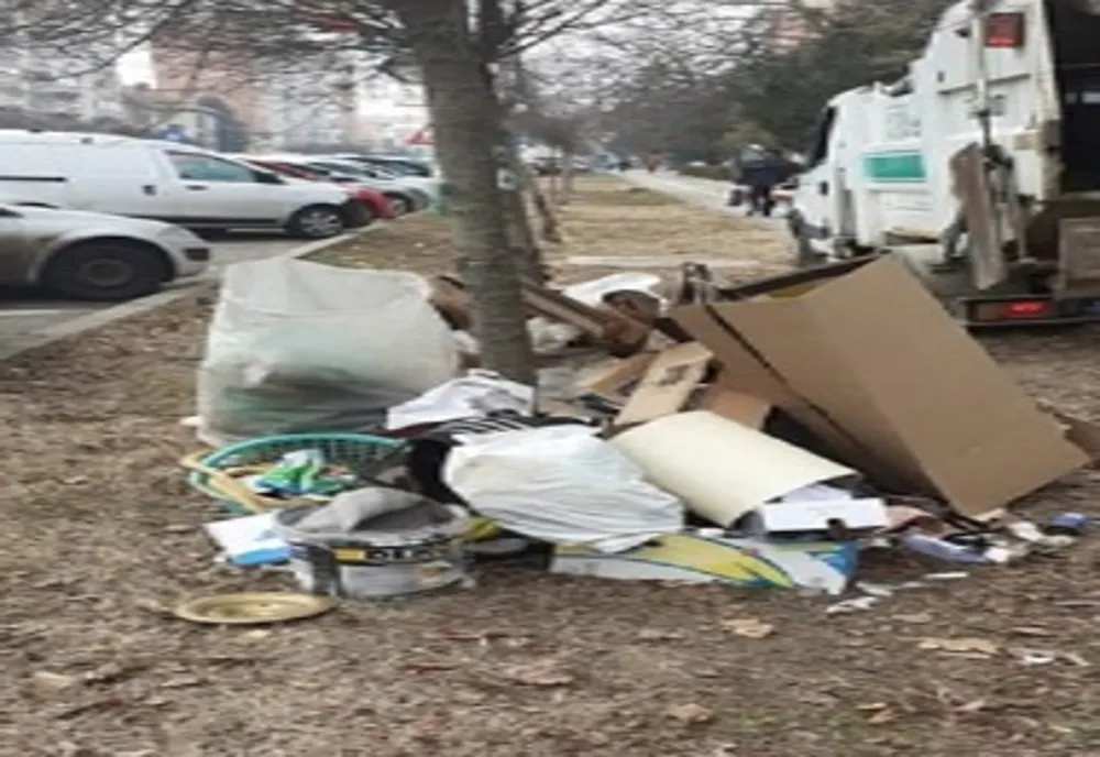 American amendat pentru gunoi, la Timișoara