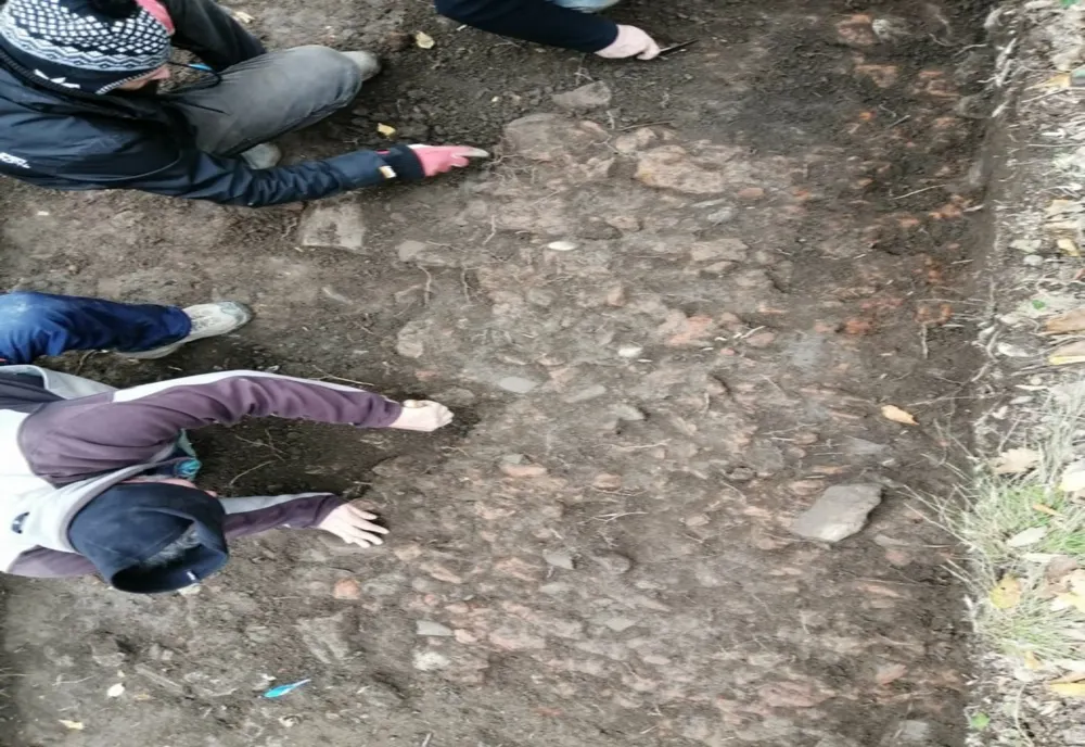 Relicve dacice, descoperite în județul Timiș, în zona unei vestite cetăți medievale