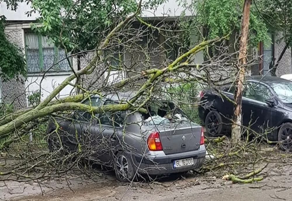 Furtuna în județul Timiș! Pompierii chemați să intervină