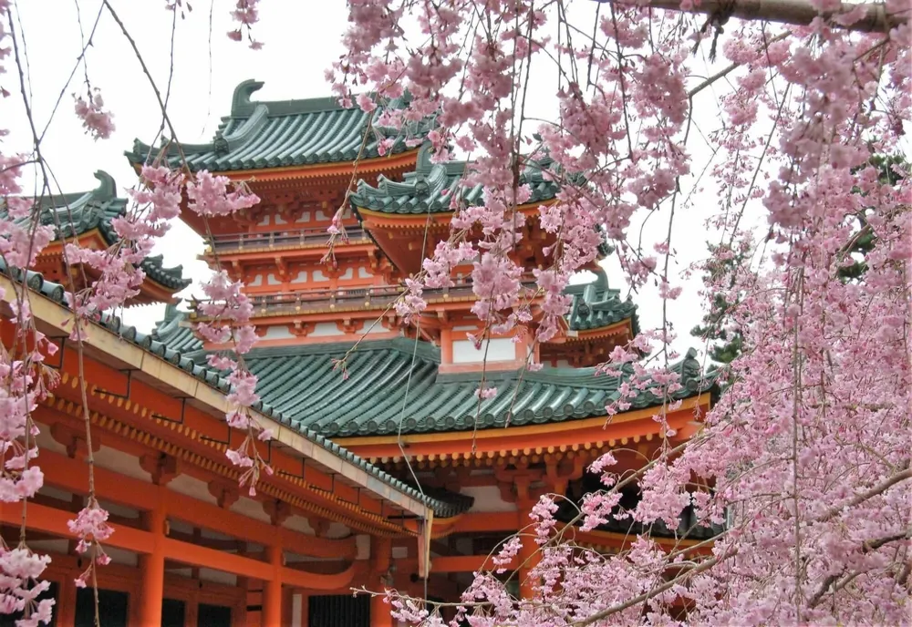 Limba și cultura japoneză la Universitatea Politehnica Timișoara