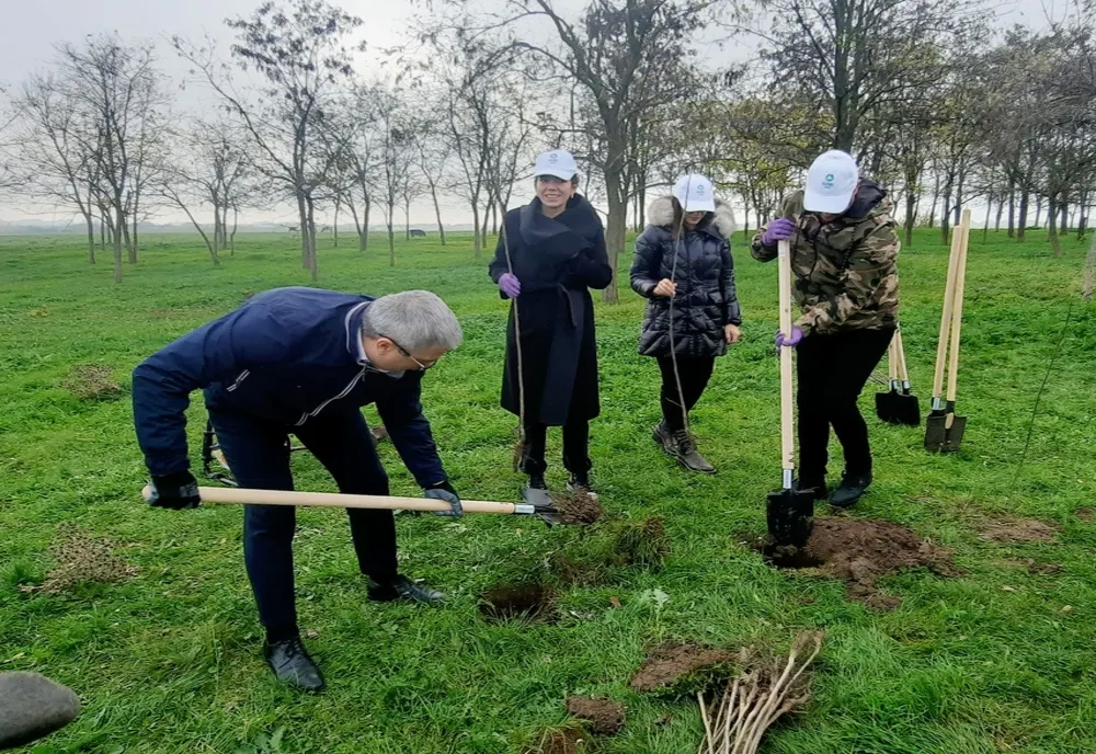 Mai mult verde pentru Timișoara și aer curat