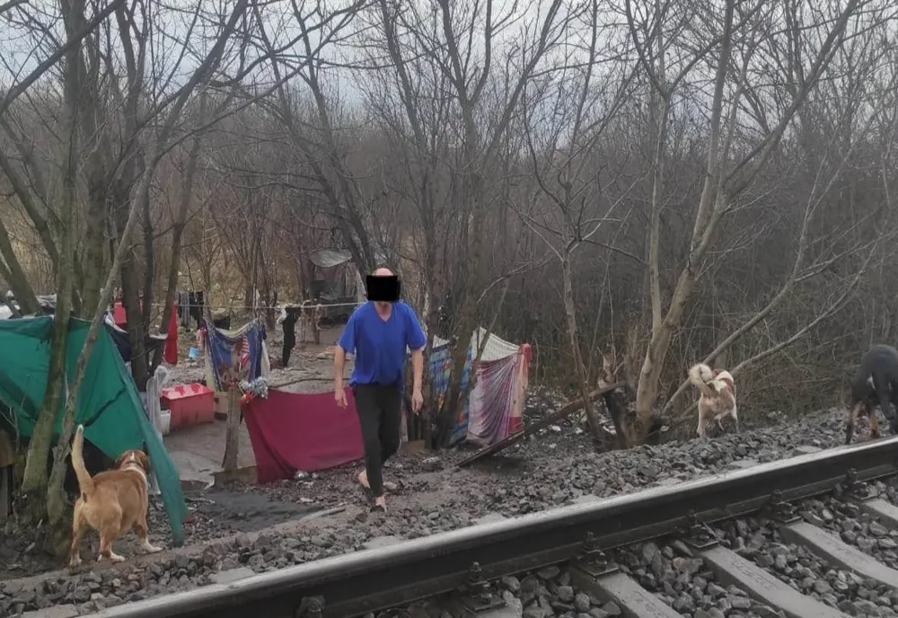 Colibe improvizate și oameni ai străzii, din nou instalați lângă Parcul Botanic din Timișoara