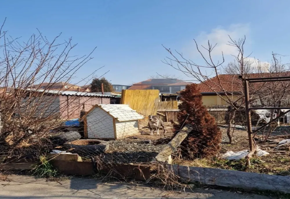 O nouă acțiune pentru verificarea proprietarilor de câini, sancțiuni în valoare 11100 lei aplicate pe Aleea Viilor și Armoniei 