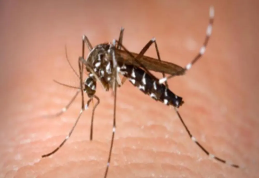 INSP: APROAPE 40 DE CAZURI DE INFECȚIE CU VIRUSUL WEST NILE, ÎNREGISTRATE DIN IUNIE