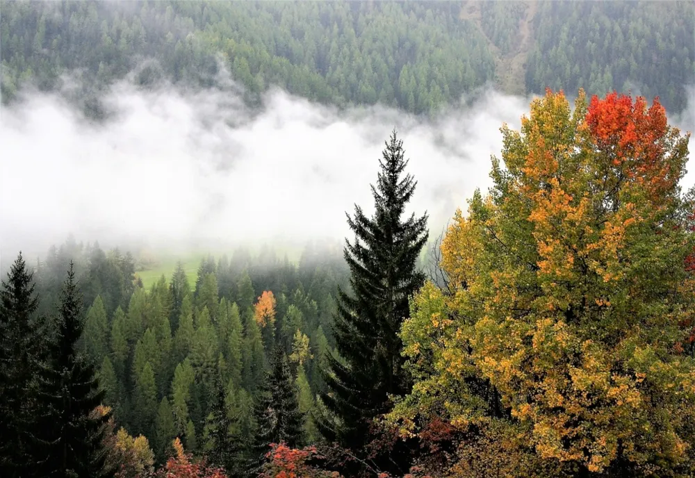 Început de săptămână cu temperaturi în creștere, de până la 14 grade