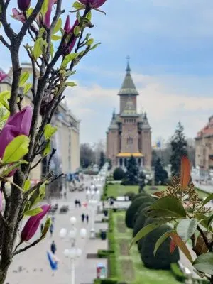 VIITORUL TURISTIC-TIMISOARA-STRATEGIE PROFESIONALA DE DEZVOLTARE-2025