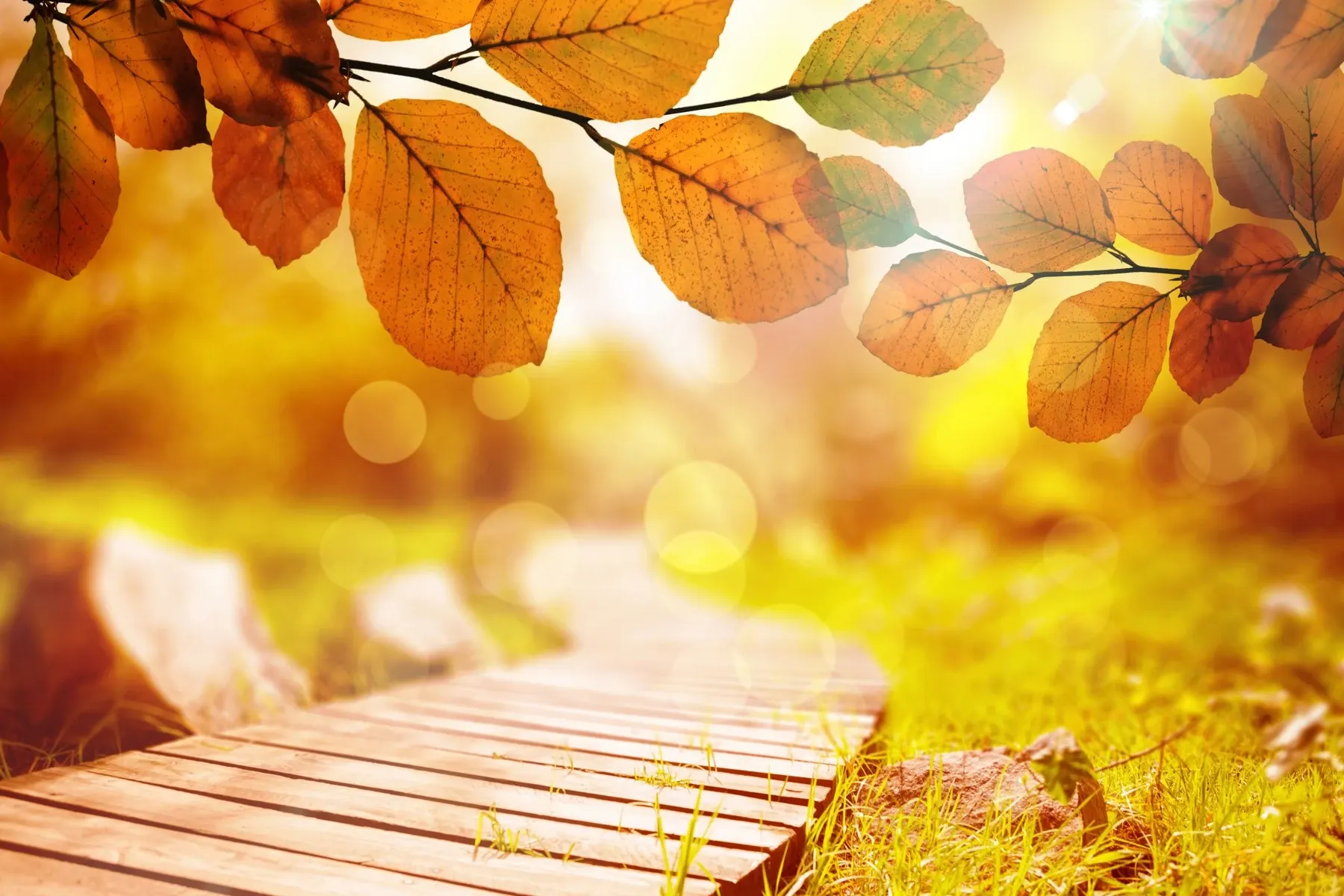 Septembrie/ Profimedia