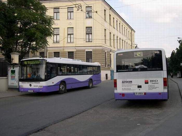autobuze-timisoara