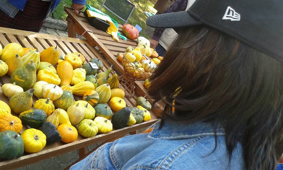 festivalul dovleacului