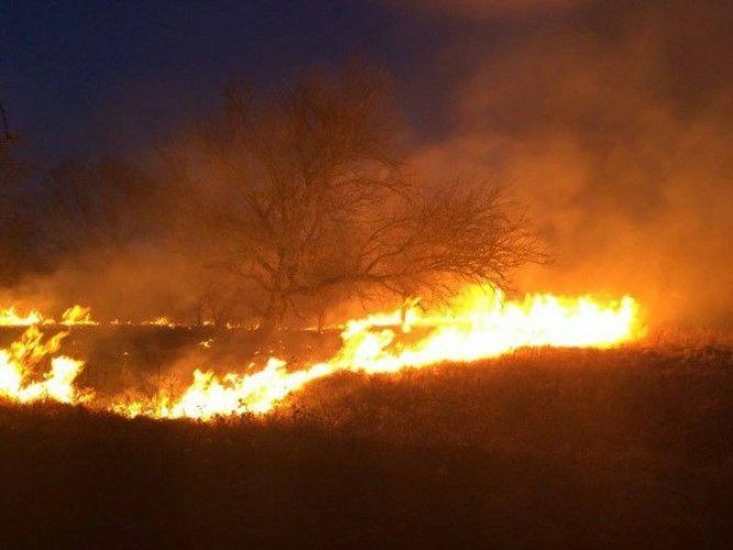 incendiu vegetatie