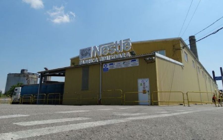 Nestle-Timisoara