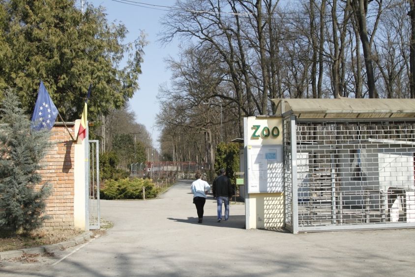 gradina zoologica
