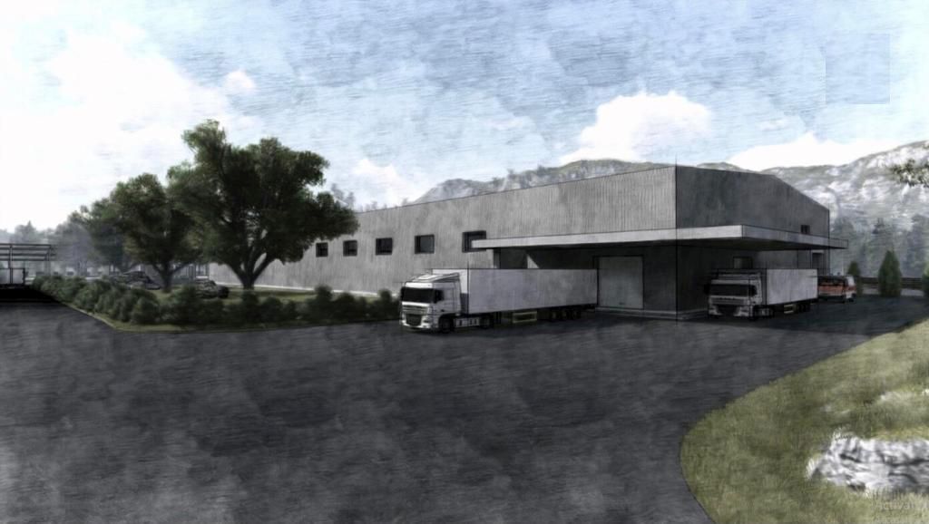 centru-fructe-legume-Timis (3)