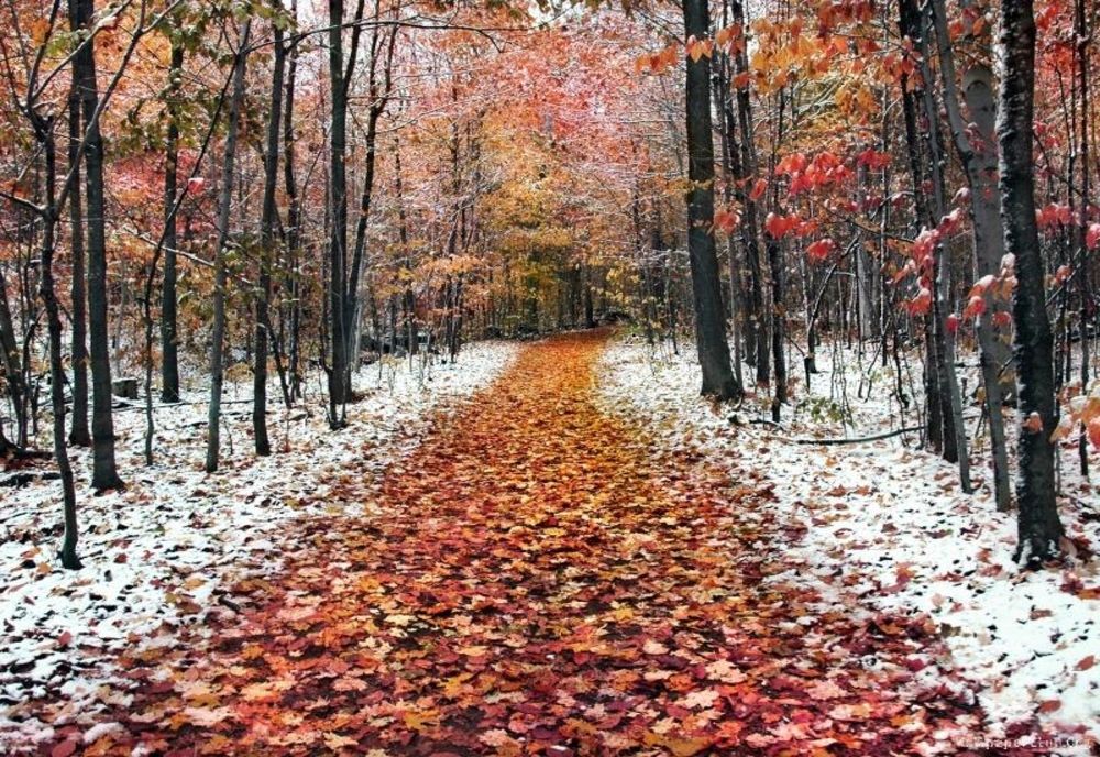 A sosit iarna. Ploi, lapoviță, ninsori și frig, în vestul țării