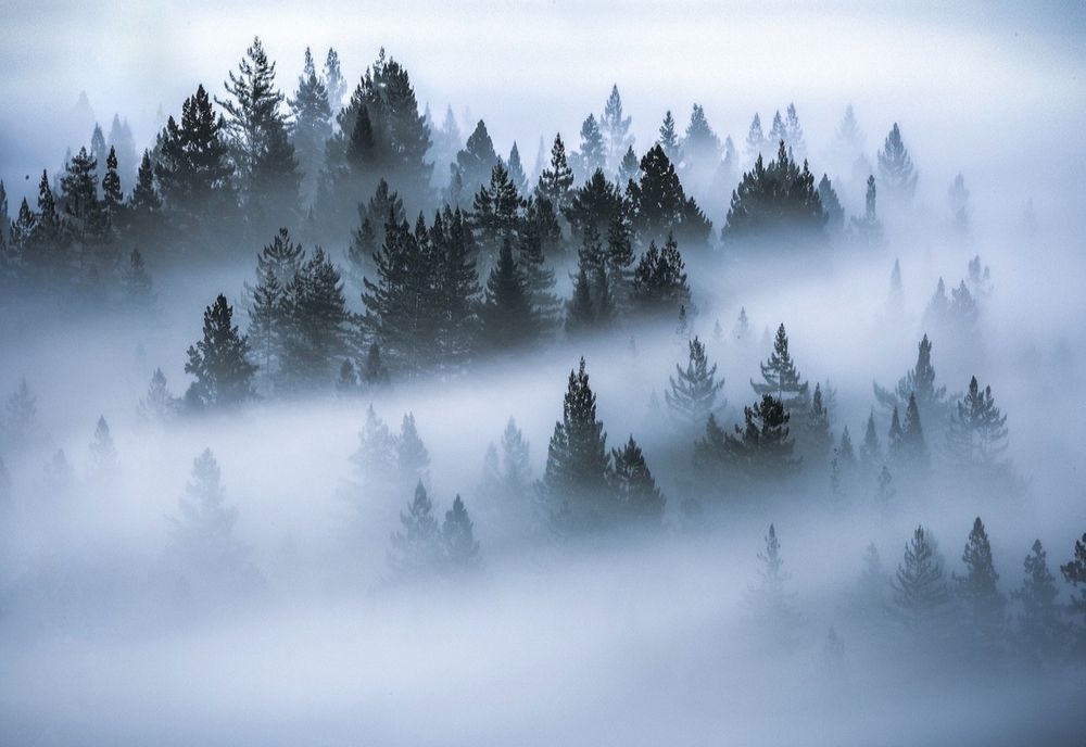 Prognoza meteo în vestul țării