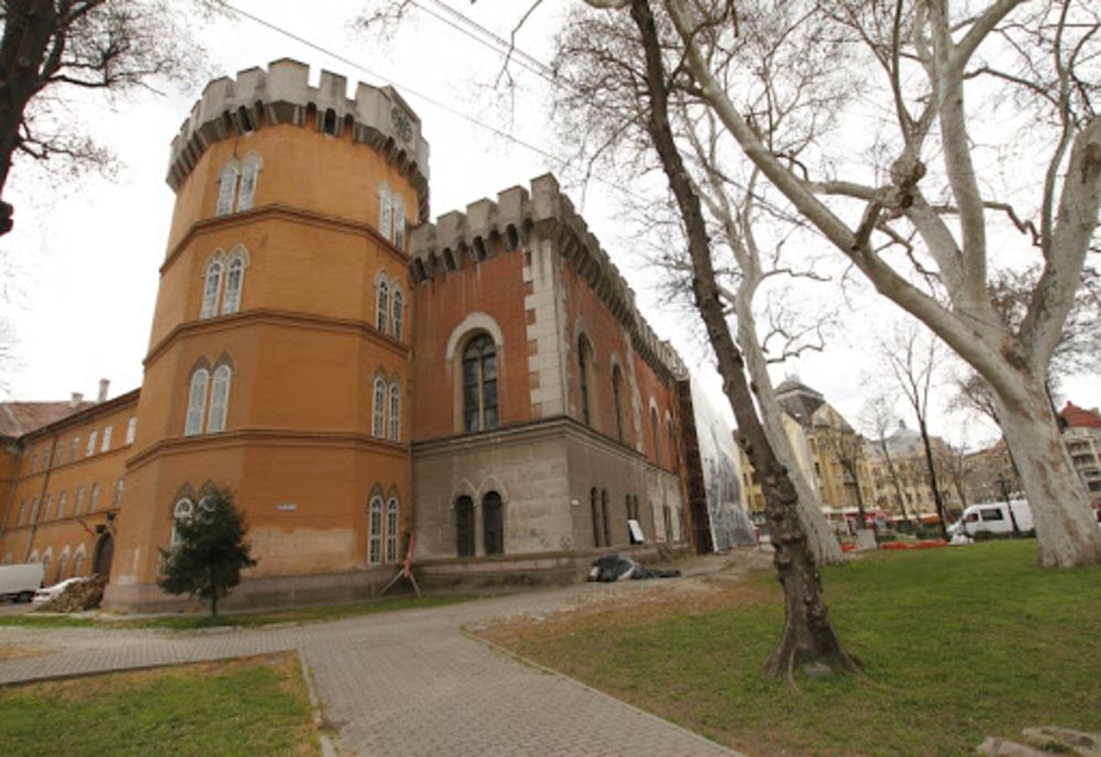 Îndrăgostește-te de un exponat, campanie a Muzeului Banatului în luna iubirii