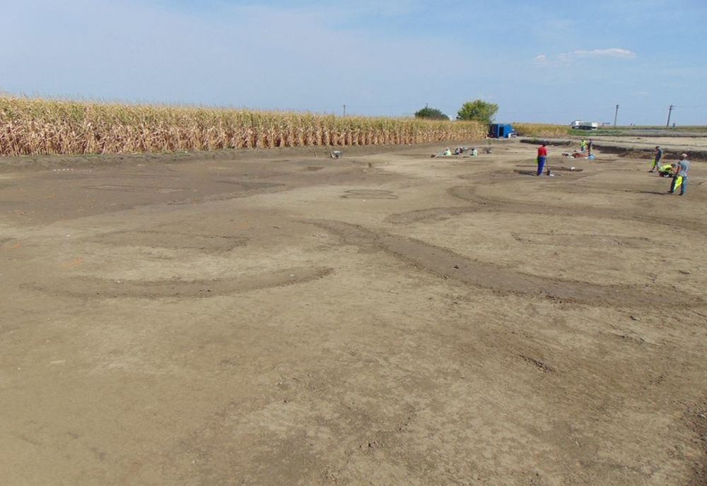 Bijuterii, monede și arme străvechi, descoperite lângă Timișoara