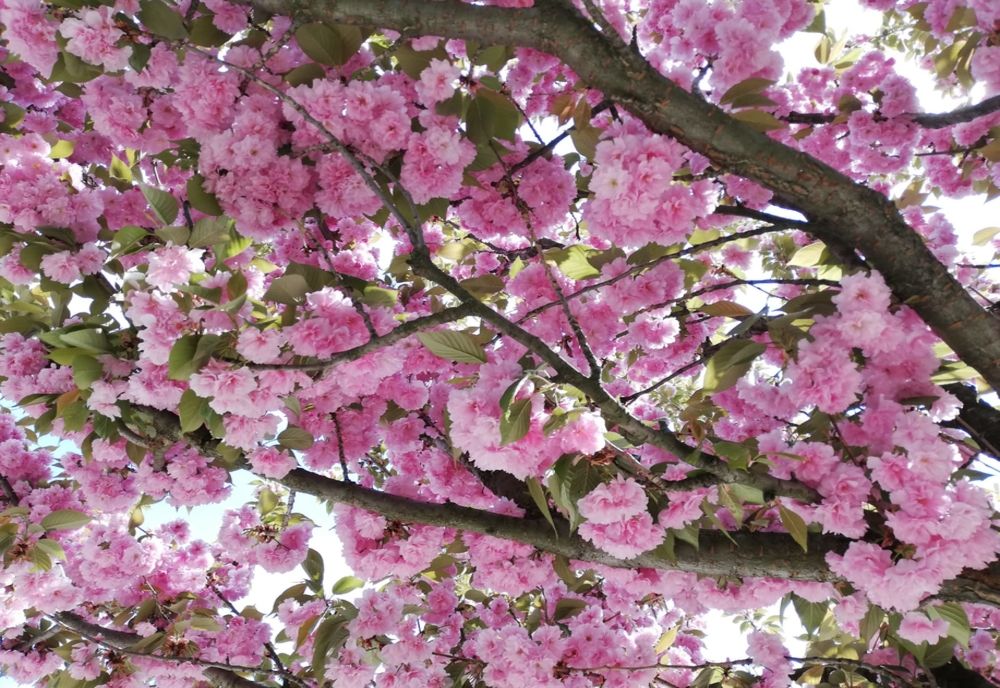 Vremea se încălzește la final de săptămână