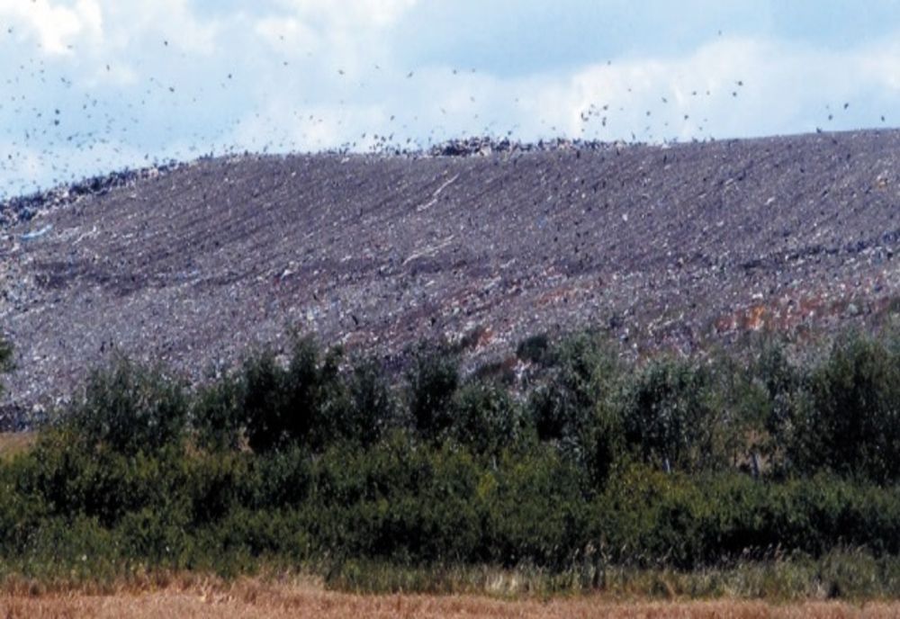 Poluare pe râul Timiș, de la deponeul pentru deșeurile adunate din tot județul: ce arată primele verificări