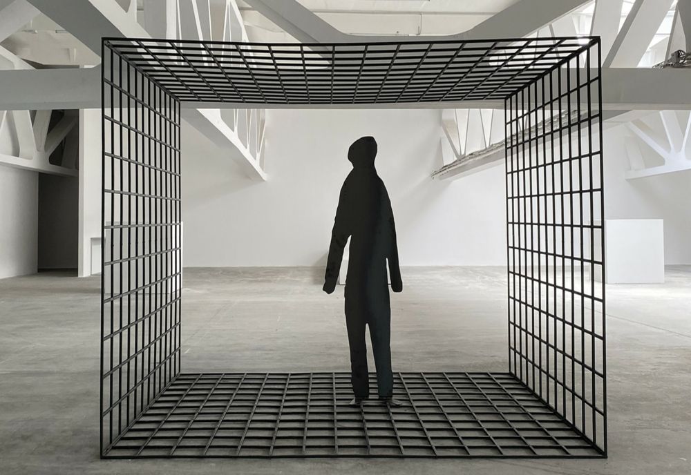 O pisică uriașă și un om rămas captiv într-un grilaj de fier, imagini inedite pentru timișoreni