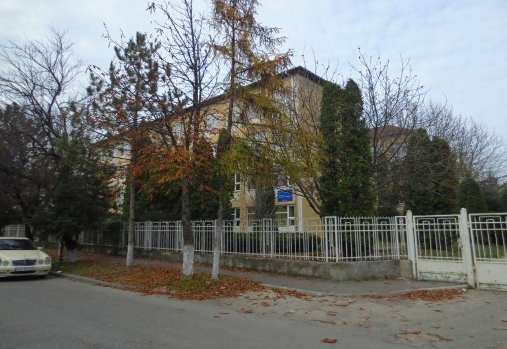 Lucrările de la Liceul de Arte Plastice din Timișoara mută cursurile în regim online