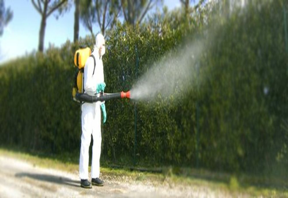 Începe o nouă campanie de dezinsecție la Timișoara