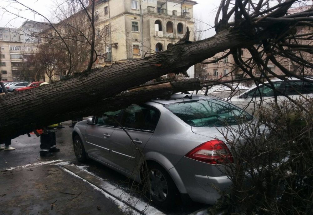 Cod galben de vânt în Timiș: pagube înregistrate