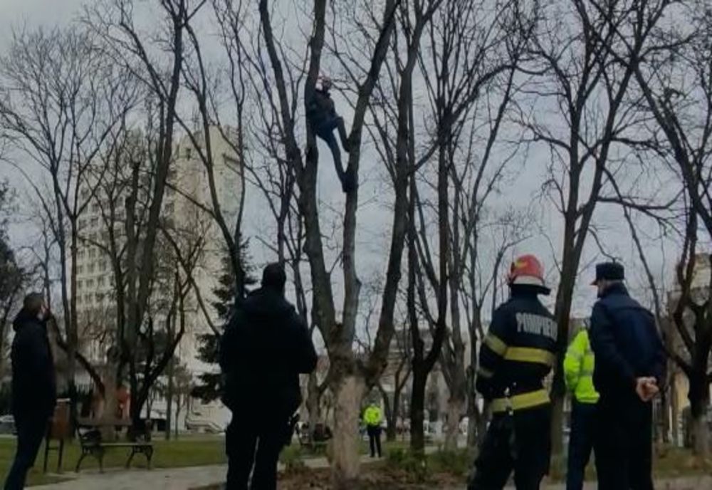 Un bărbat amenință că se spânzură într-un parc din centrul Timișoarei. Acuză birocrația că îl împinge la acest gest