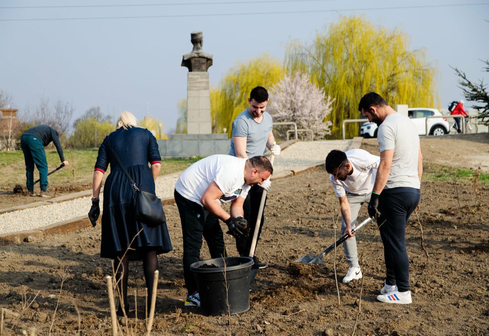  Micro-pădure urbană amenajată la Timișoara