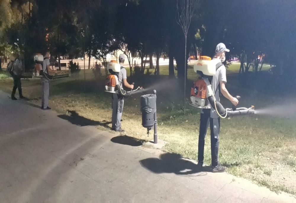 La Timișoara începe o nouă acțiune de dezinsecție 