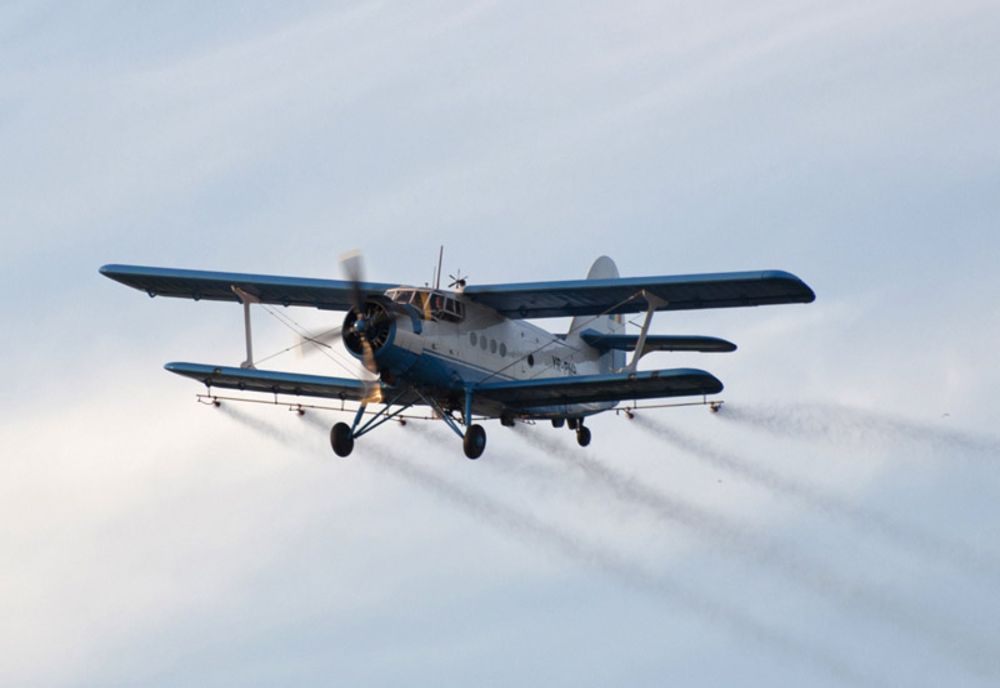 O nouă etapă a campaniei de dezinsecție și deratizare la Timișoara