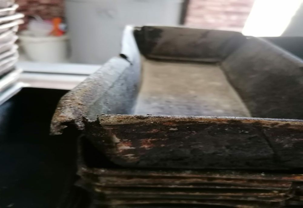  O patiserie şi un fast-food, pline de muşte şi furnici - închise temporar de comisarii protecţiei consumatorilor