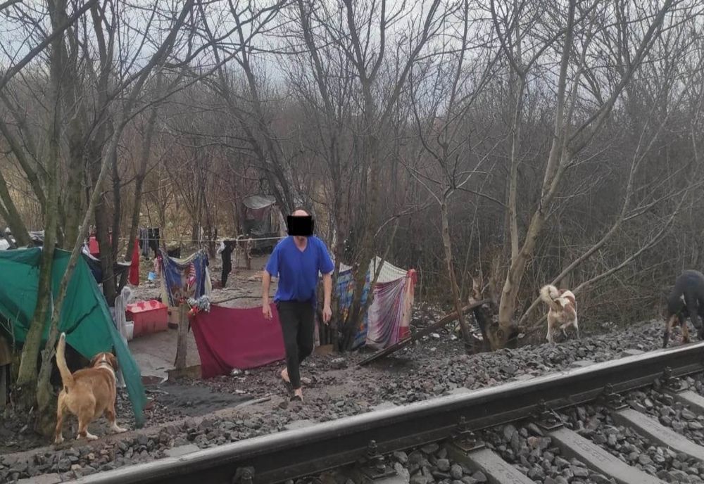 Colibe improvizate și oameni ai străzii, din nou instalați lângă Parcul Botanic din Timișoara