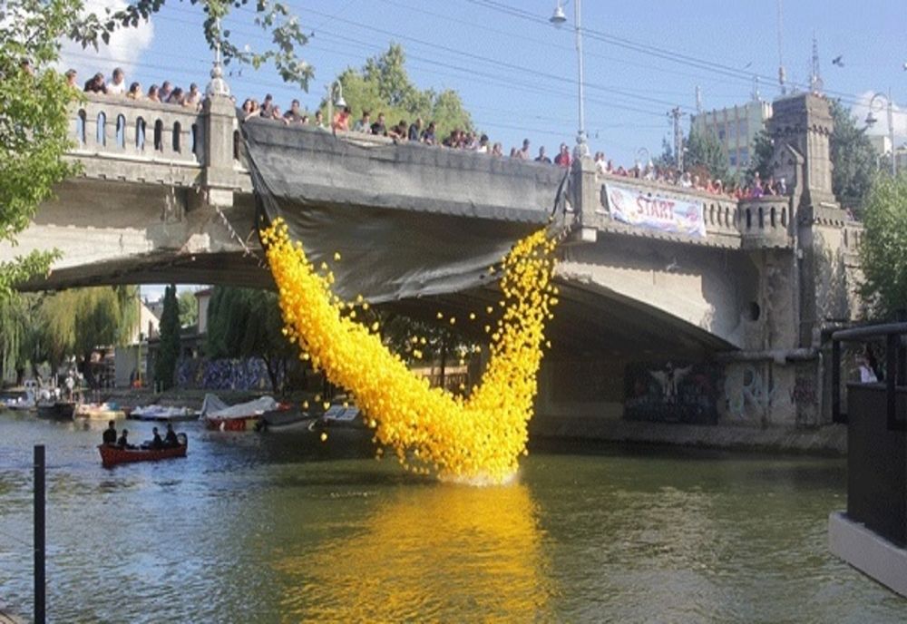 Cursa rățuștelor, eveniment caritabil cu tradiție, va avea loc la Timișoara chiar dacă festivalul din care făcea parte nu se mai ține