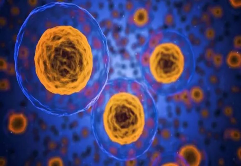 10 alimente care pot să te îmbolnăvească de cancer fără să știi!