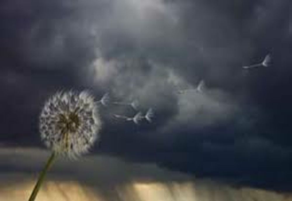 Avertizăre meteo - Cod galben de vânt puternic: Rafale de până la 100 km/h