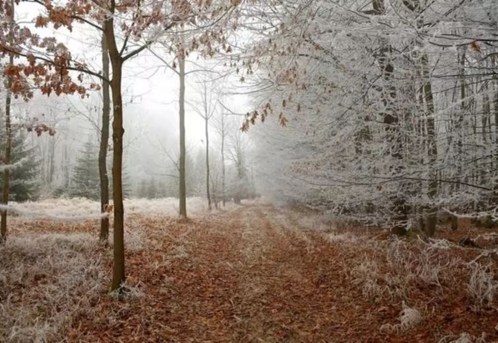 Prognoza meteo. Vreme închisă și precipitații mixte în vest și centru