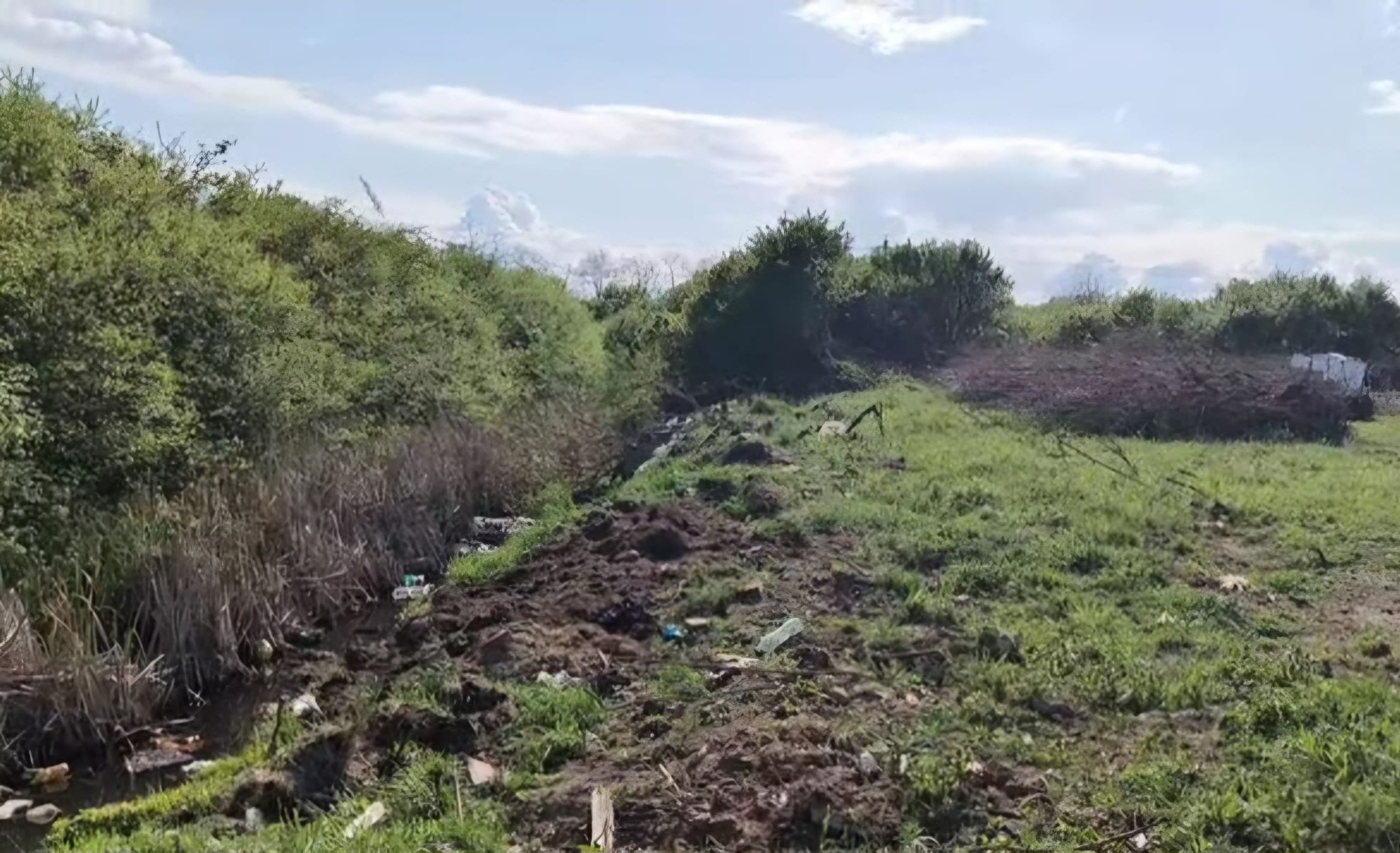 CANALE DE APARARE-INEXISTENTE-INUNDATII- SIGURANTA-TIMIȘOARA